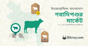Livestock market Bangladesh 2021